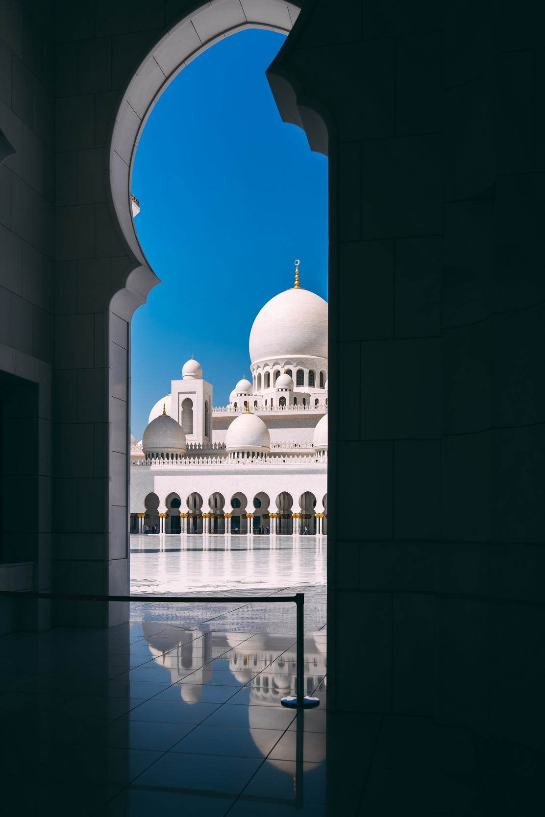 Peeking from the Shadows Wall Art - beink online art store