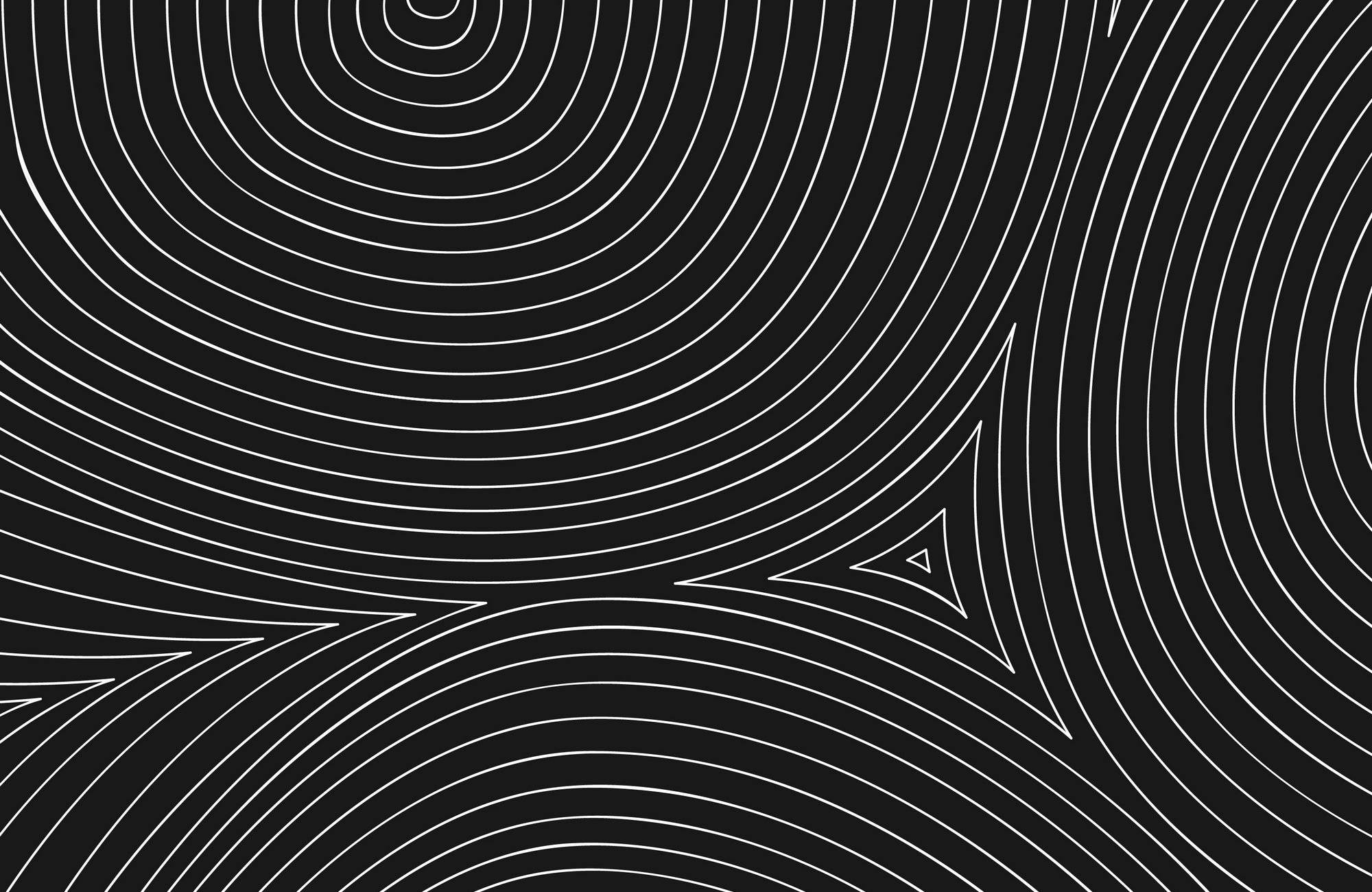 White Circular Lines With Black Background Abstract Wall Art - beink online art store