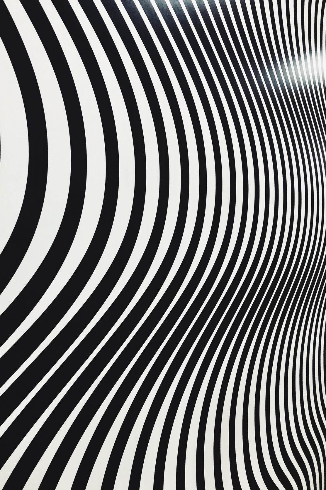 Zebra Wallpaper Black & White Wall Art - beink online art store