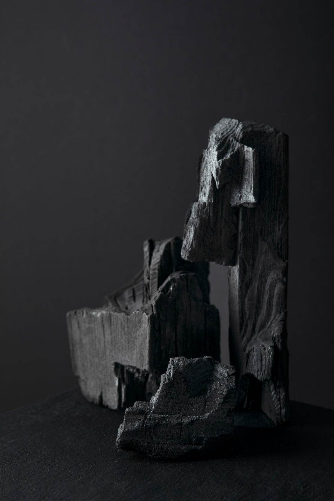 Still Life of Ashes Black & White Wall Art - beink online art store