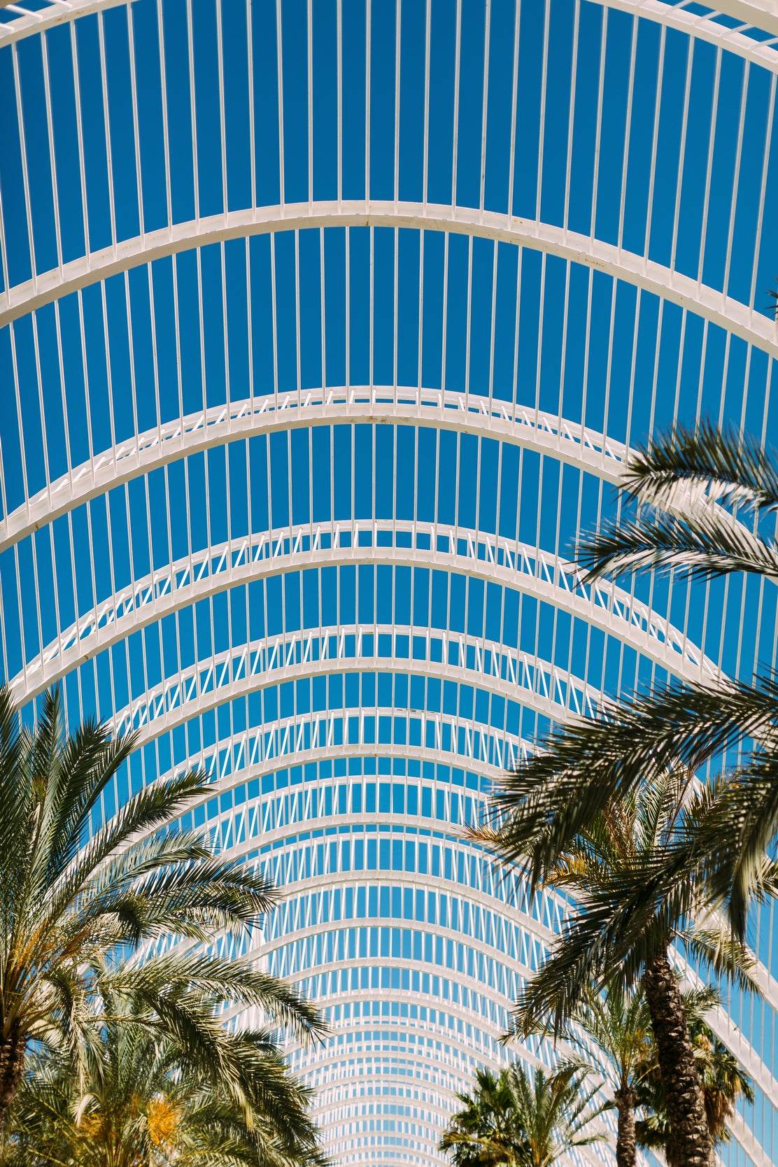 Modern Arches Wall Art - beink online art store