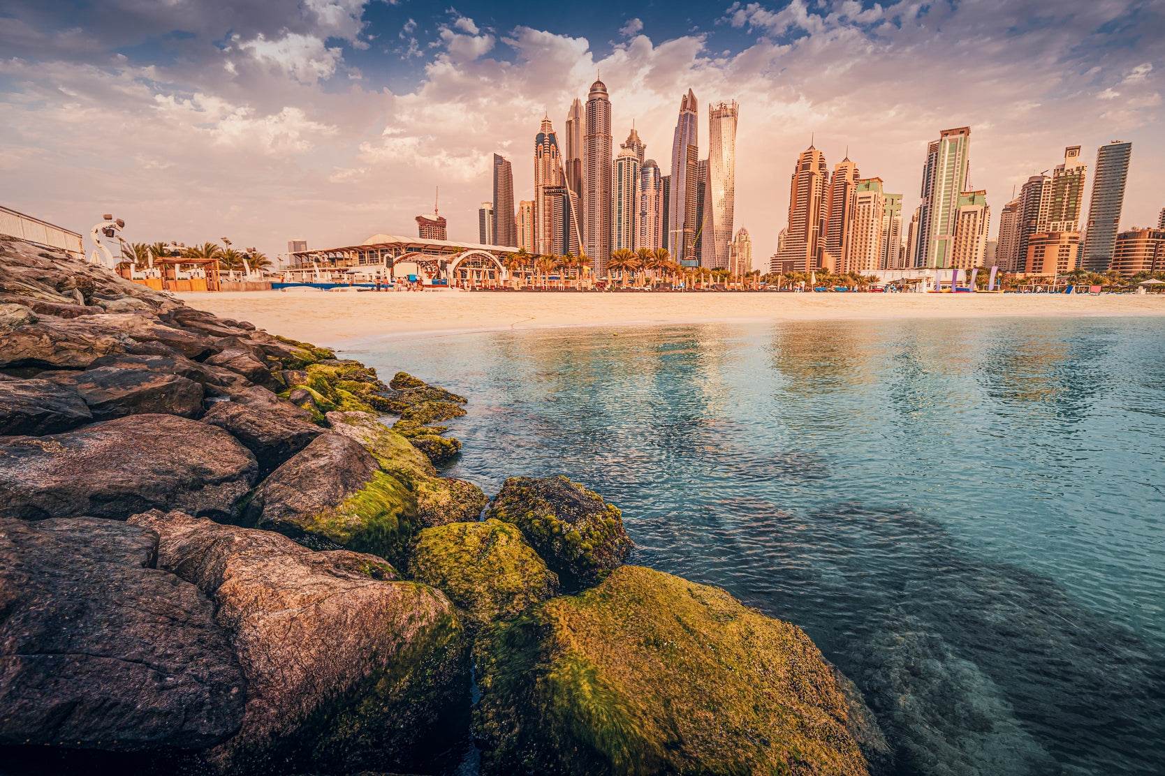 A Blend of Nature and Modernity Wall Art - beink online art store