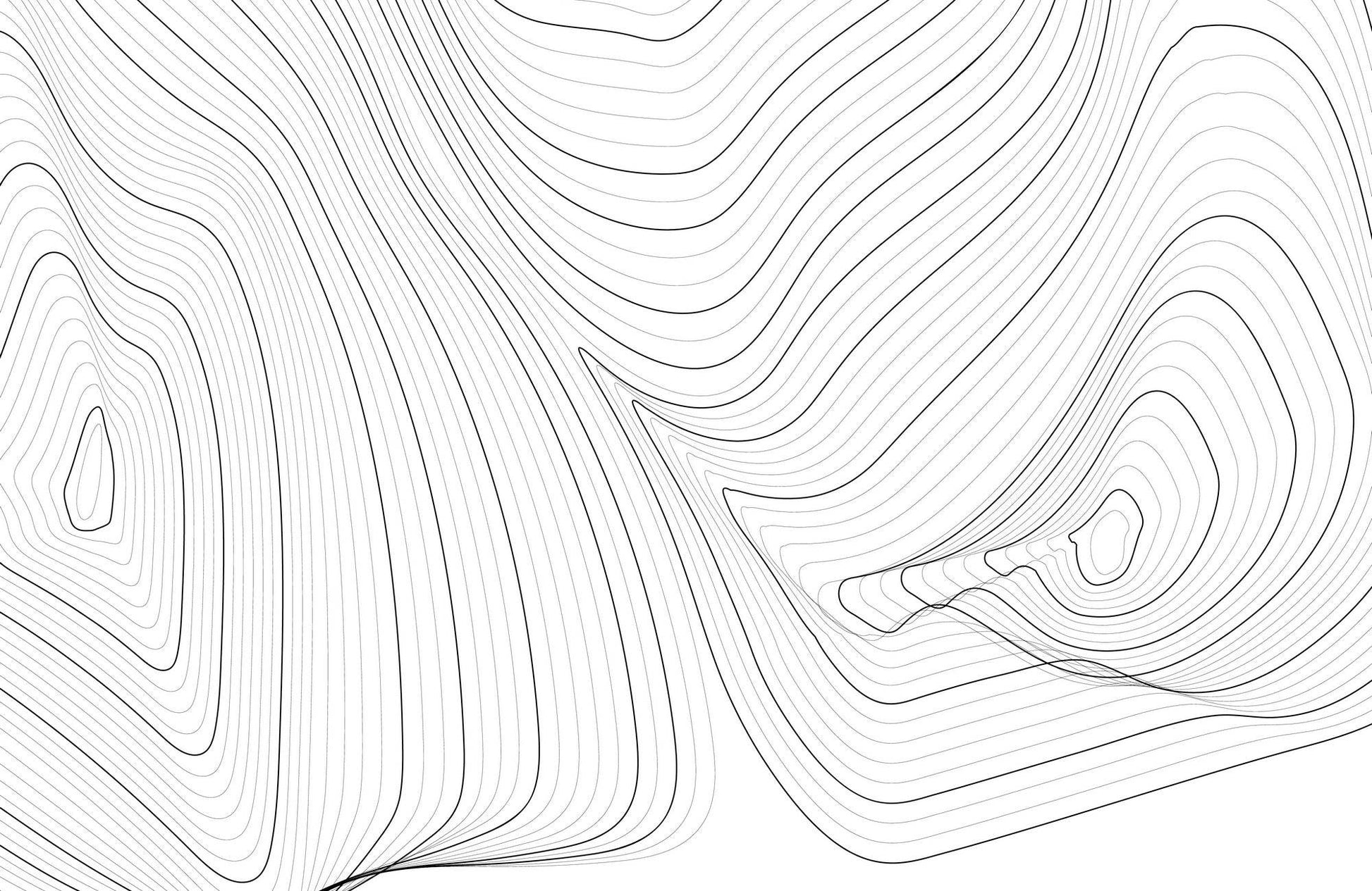 Curved Lines Wall Art - beink online art store