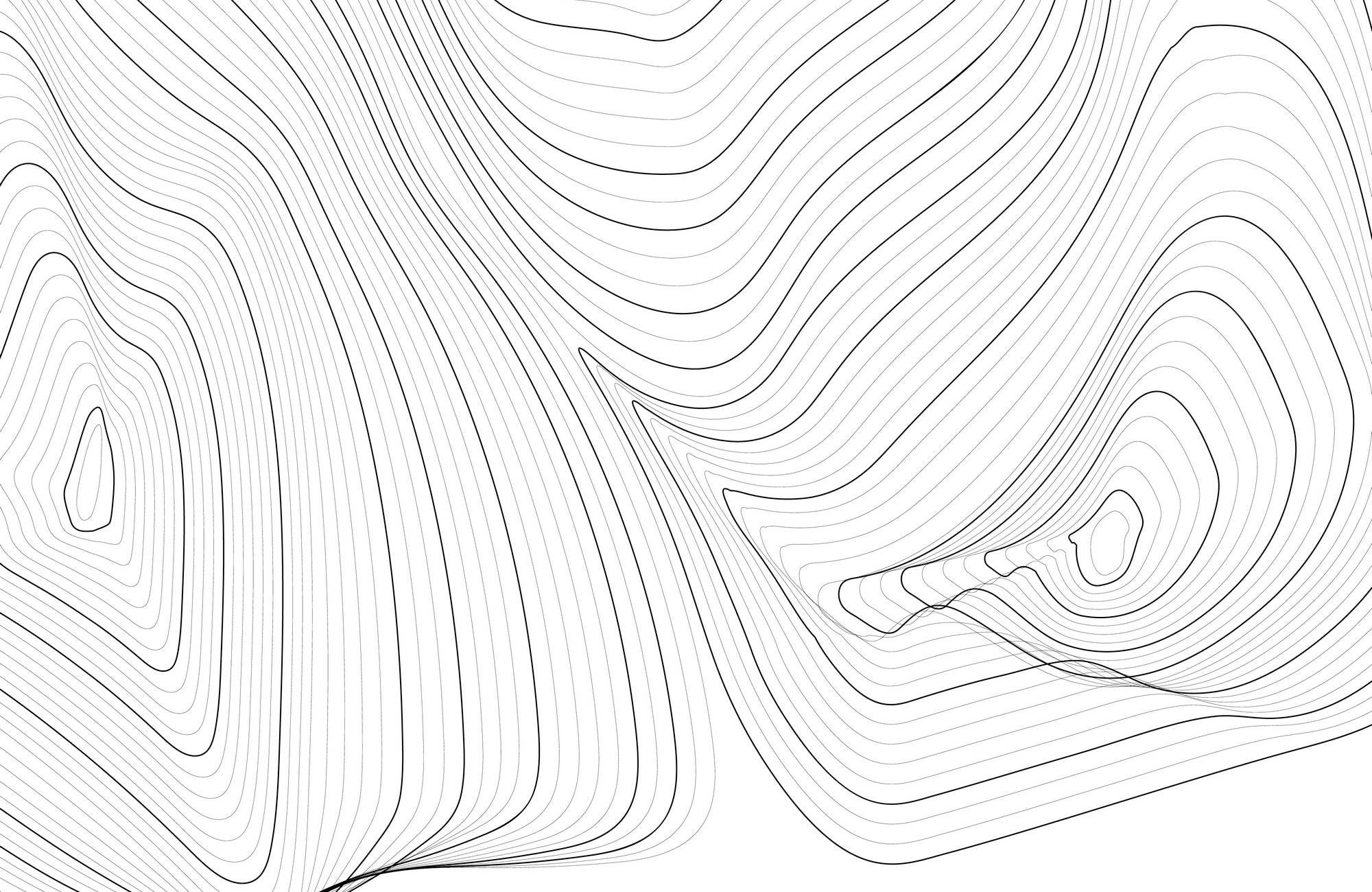 Curved Lines Wall Art - beink online art store