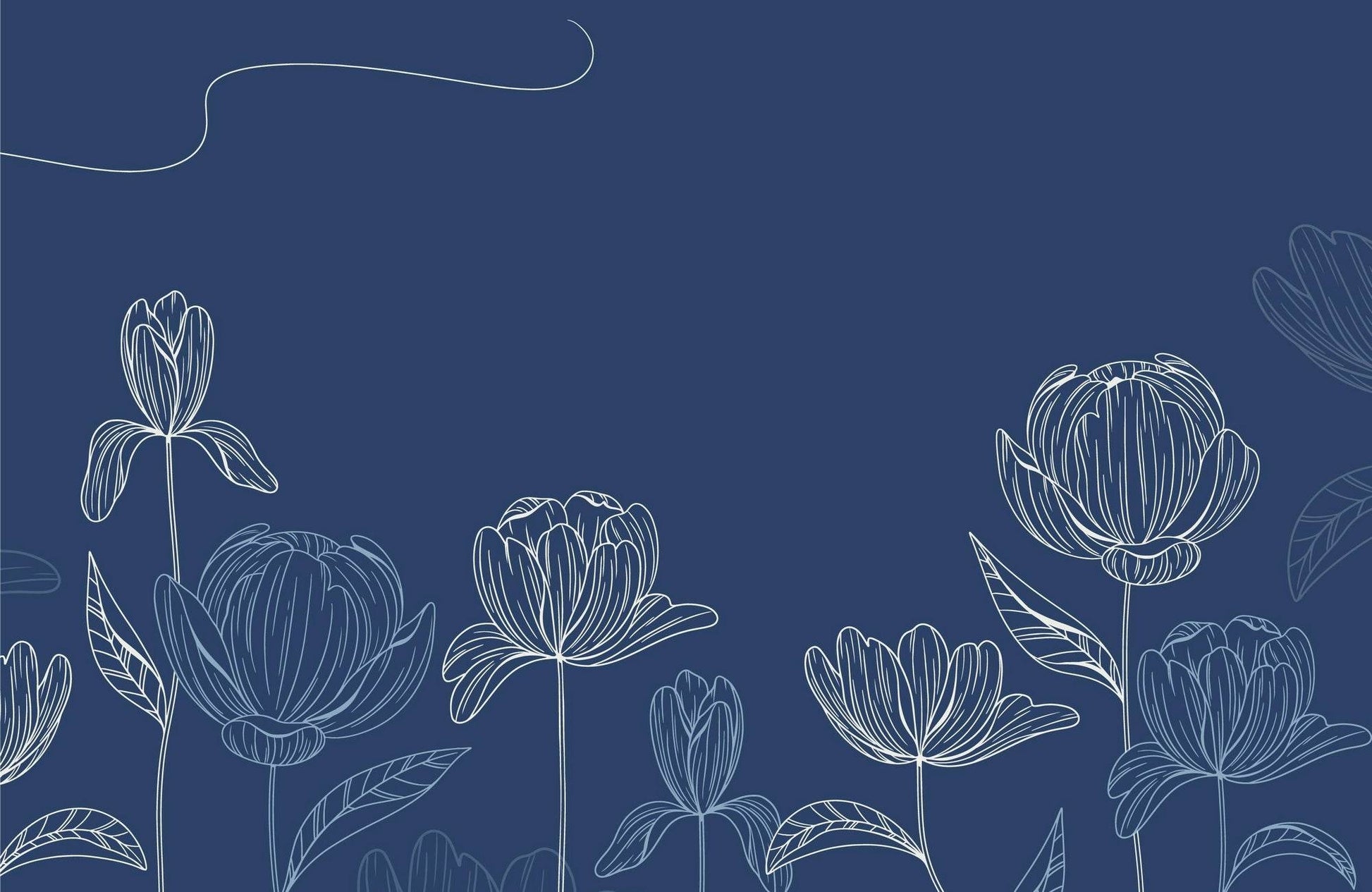 Aster Flowers With Blue Background Wall Art - beink online art store