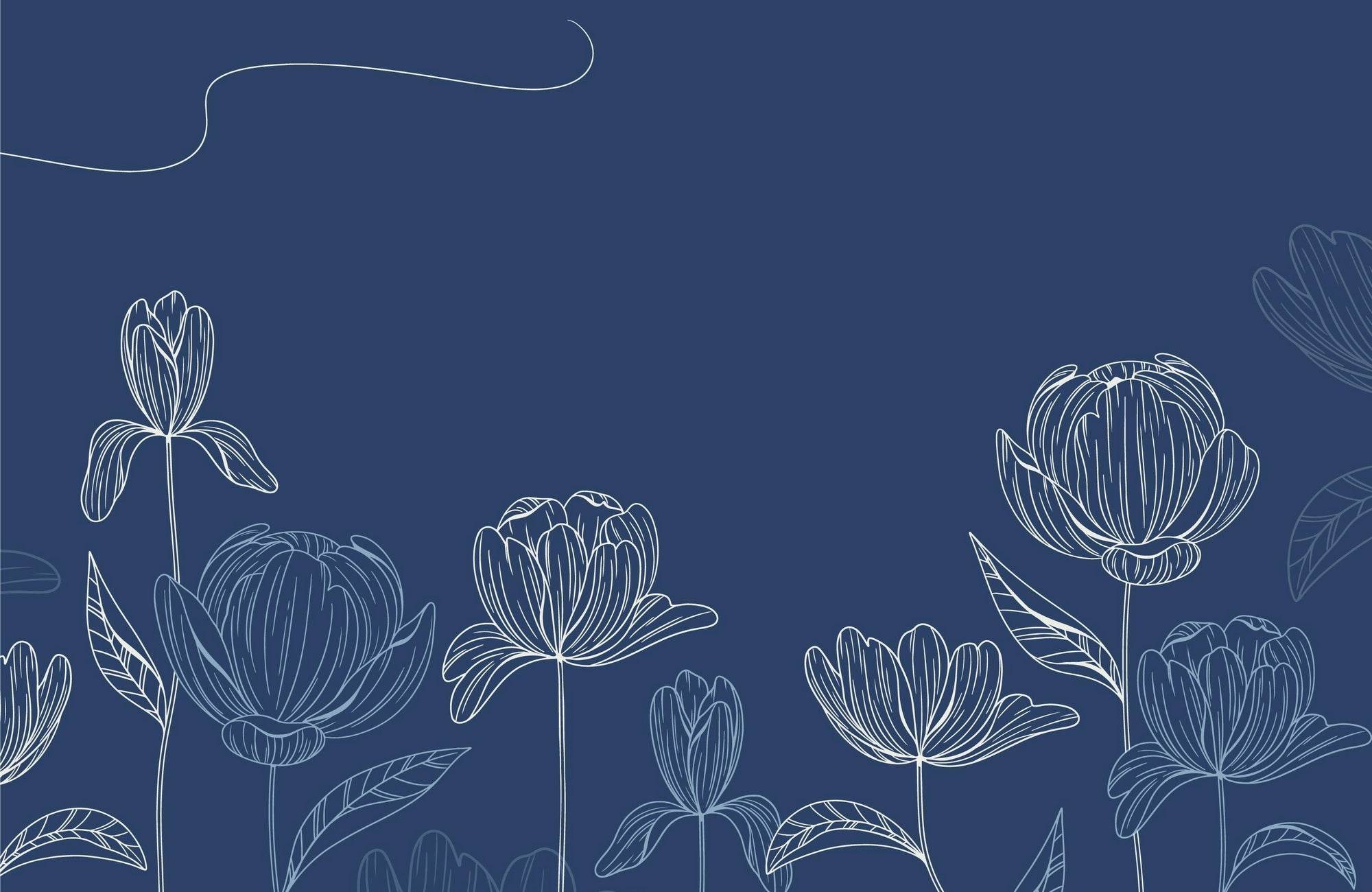 Aster Flowers With Blue Background Wall Art - beink online art store
