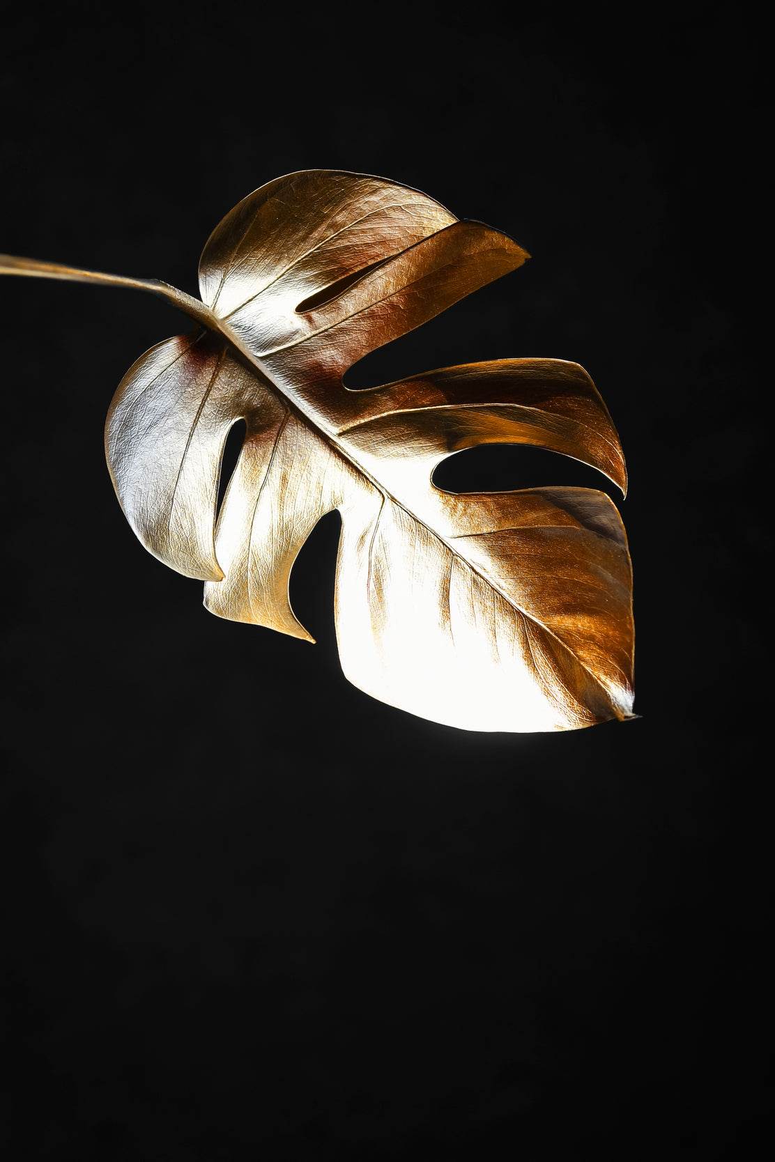 Golden Fig Leaf Wall Art - beink online art store