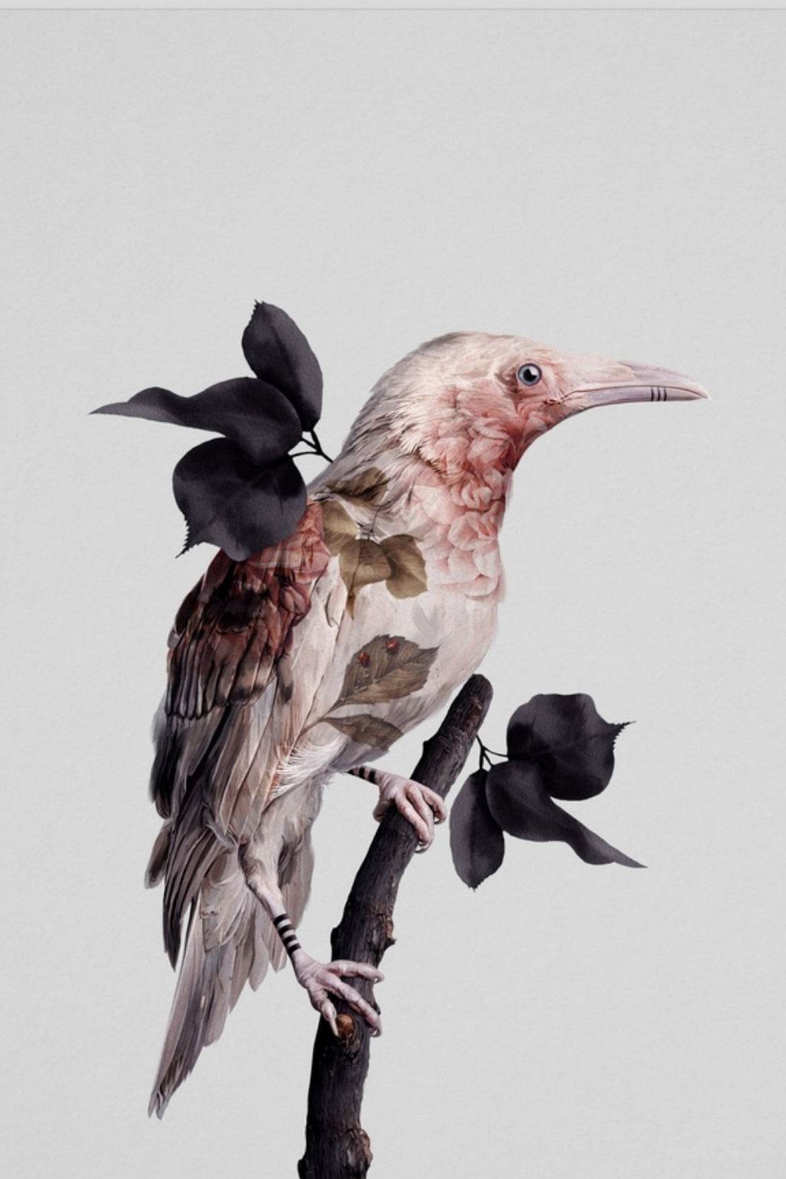 Hummingbird Digital Wall Art - beink online art store