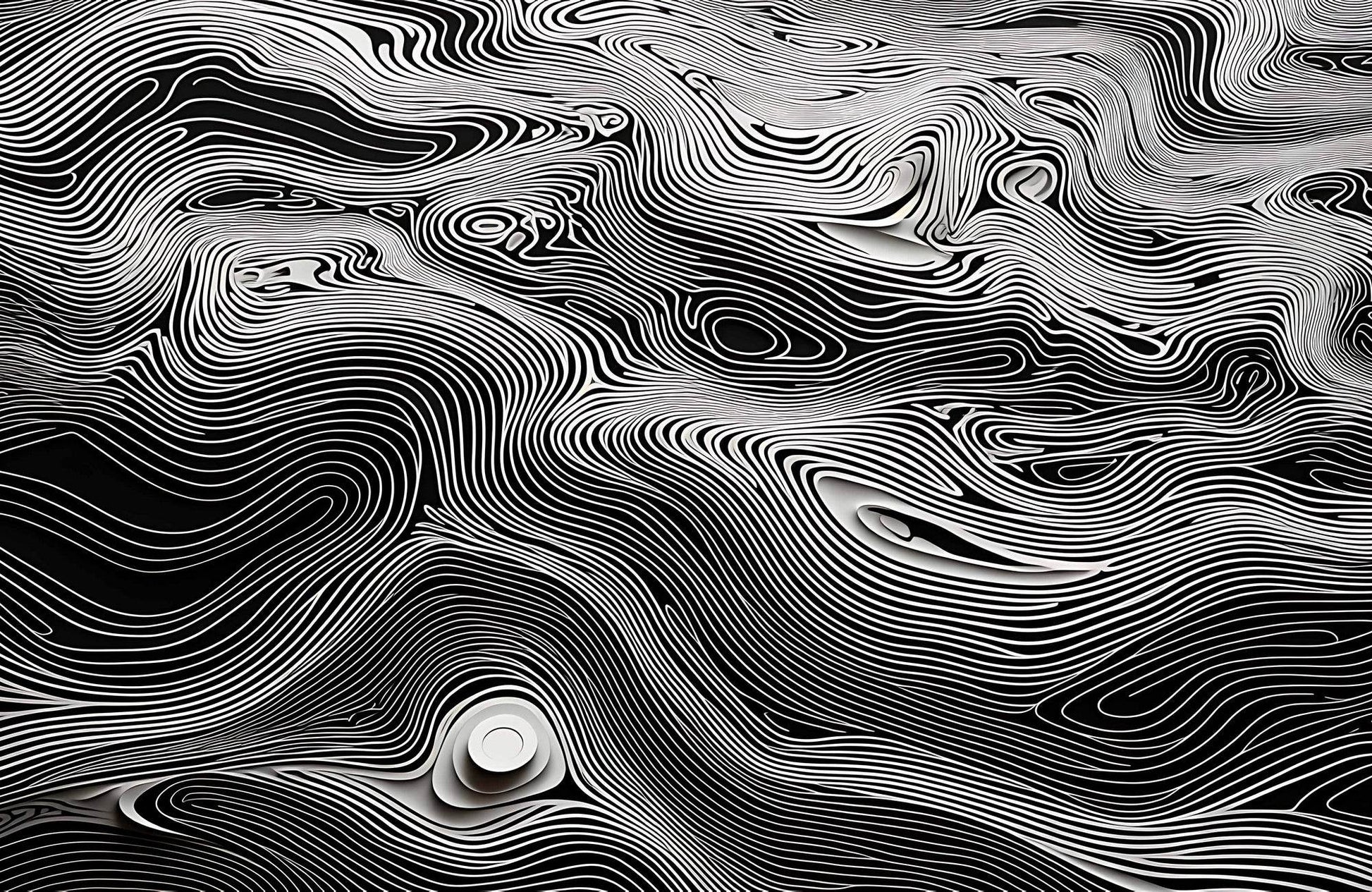 Wavy White Topography Abstract Wall Art - beink online art store