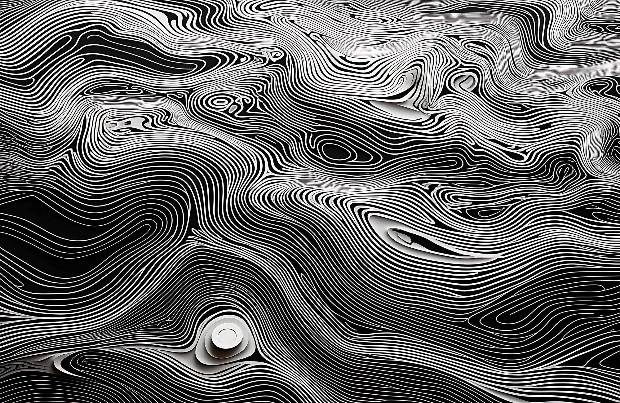 Wavy White Topography Abstract Wall Art - beink online art store
