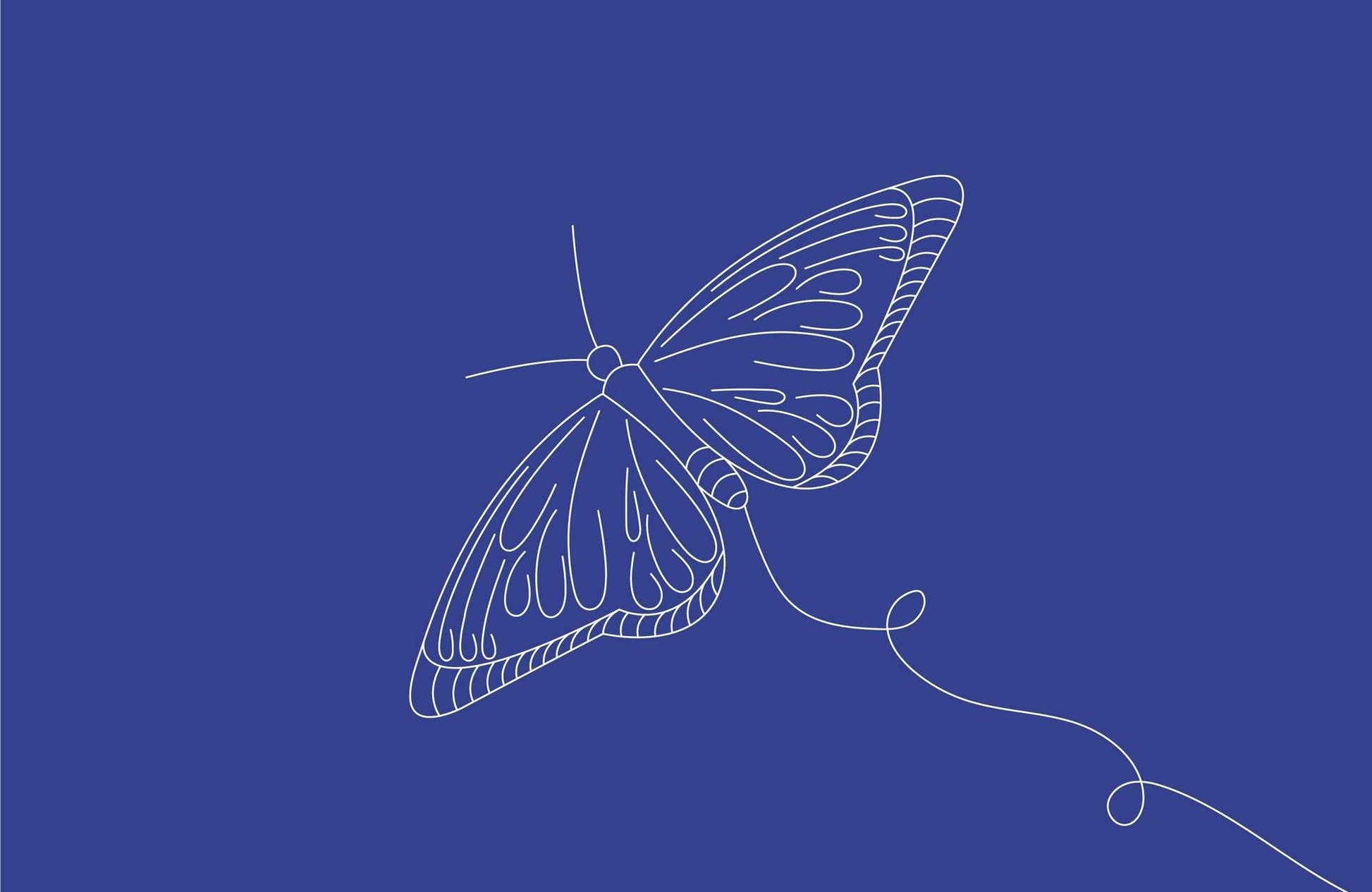 Butterfly Flight Line Art - beink online art store