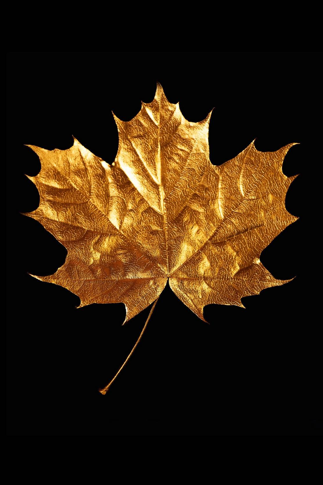 Golden Plantain Leaf Wall Art - beink online art store