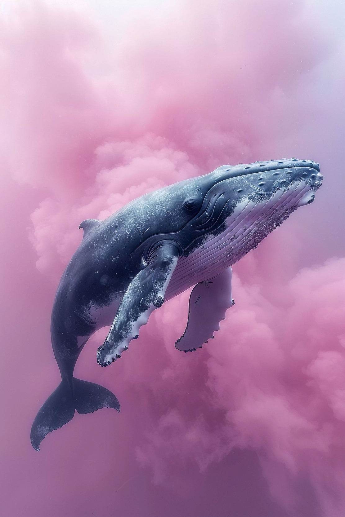Whale Flying in Pink Clouds Wall Art - beink online art store