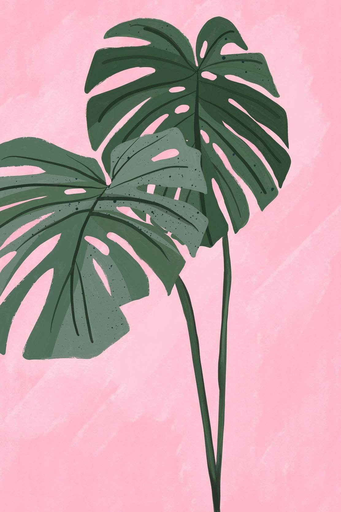 Monstera Deliciosa Plant Drawing Wall Art - beink online art store
