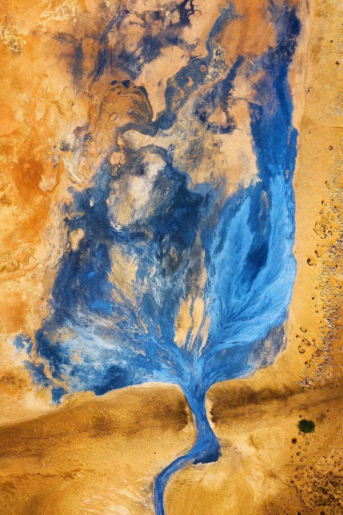 Where Desert Meets the Ocean Artwork - beink online art store