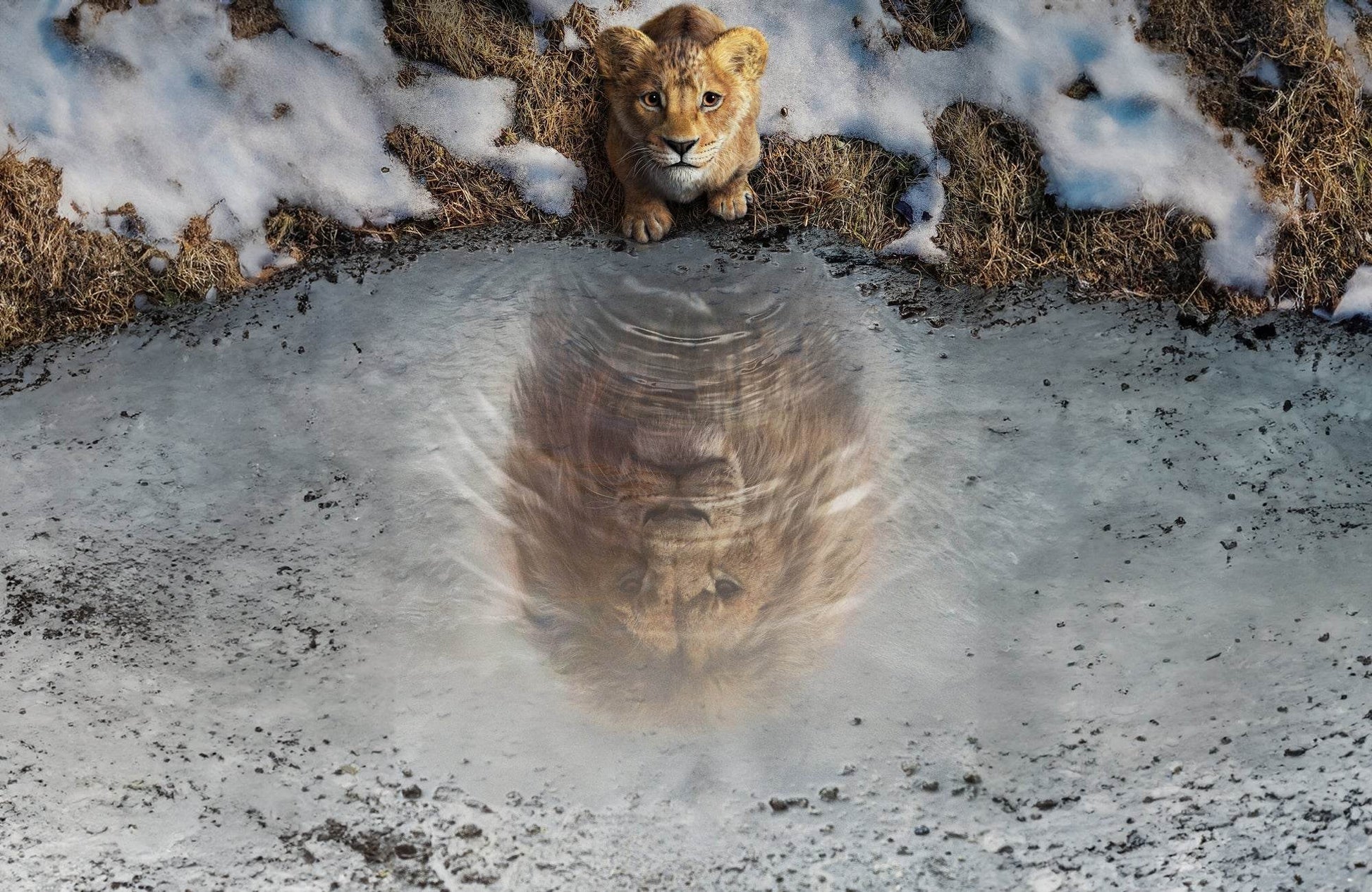 Mufasa: The Lion King Wall Art - beink online art store