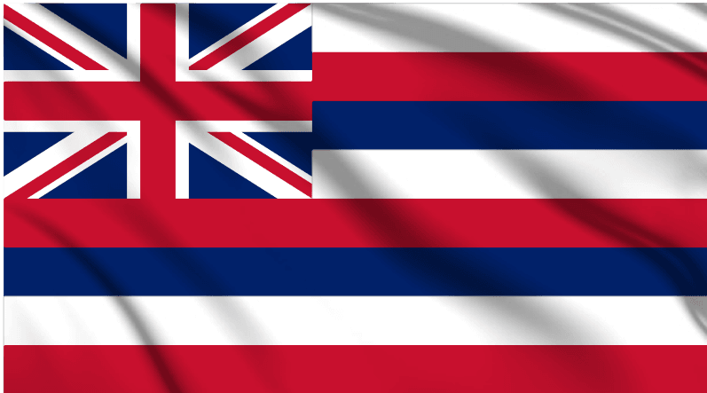Hawaii National Flag Wall Art - beink online art store