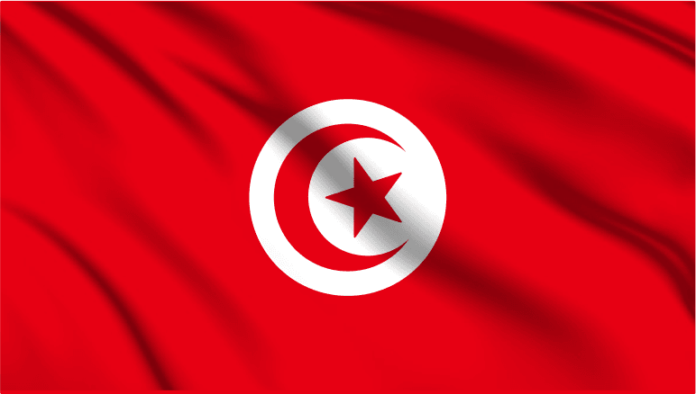 Tunisia National Flag Wall Art - beink online art store