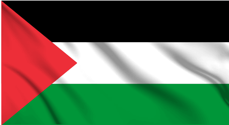 Palestine National Flag Wall Art - beink online art store