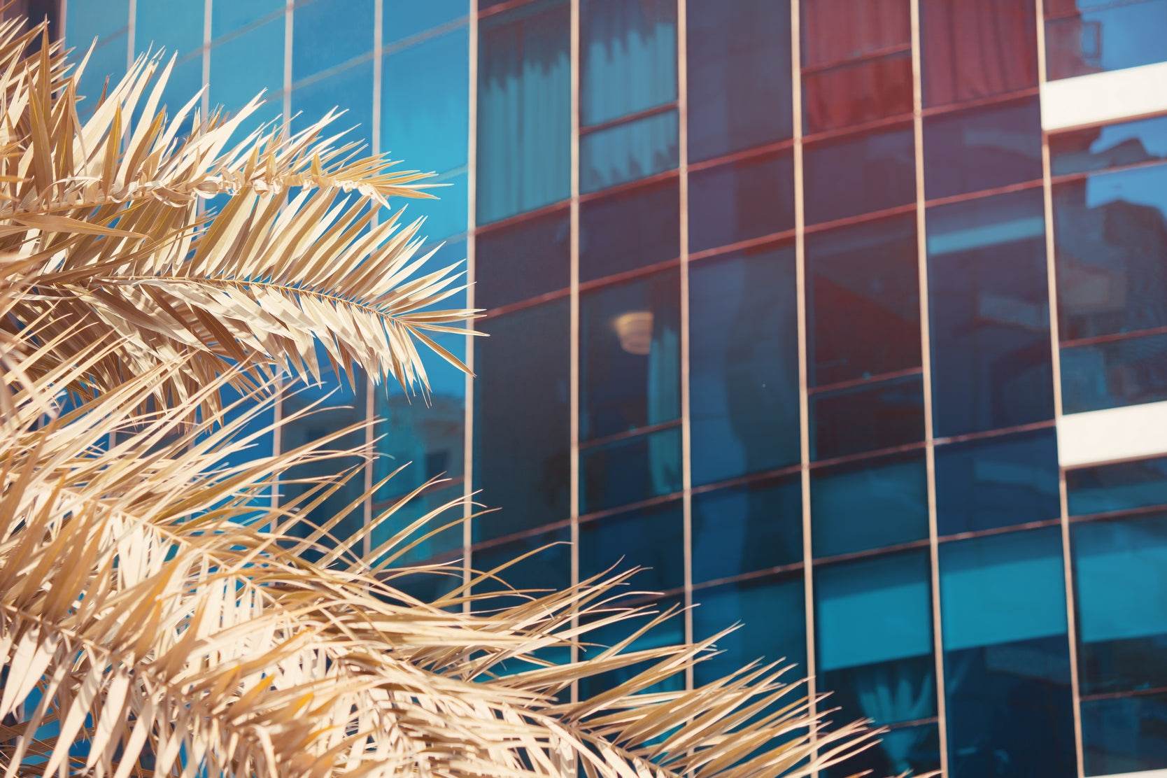 Shadows of Palm Artwork - beink online art store