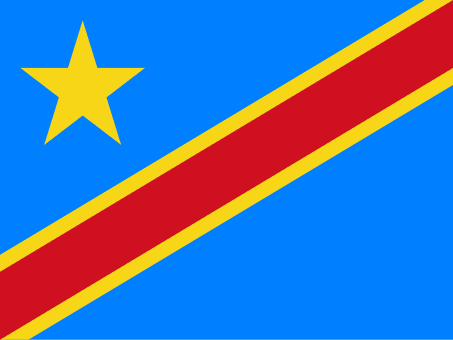 Democratic Republic of the Congo National Flag Wall Art - beink online art store