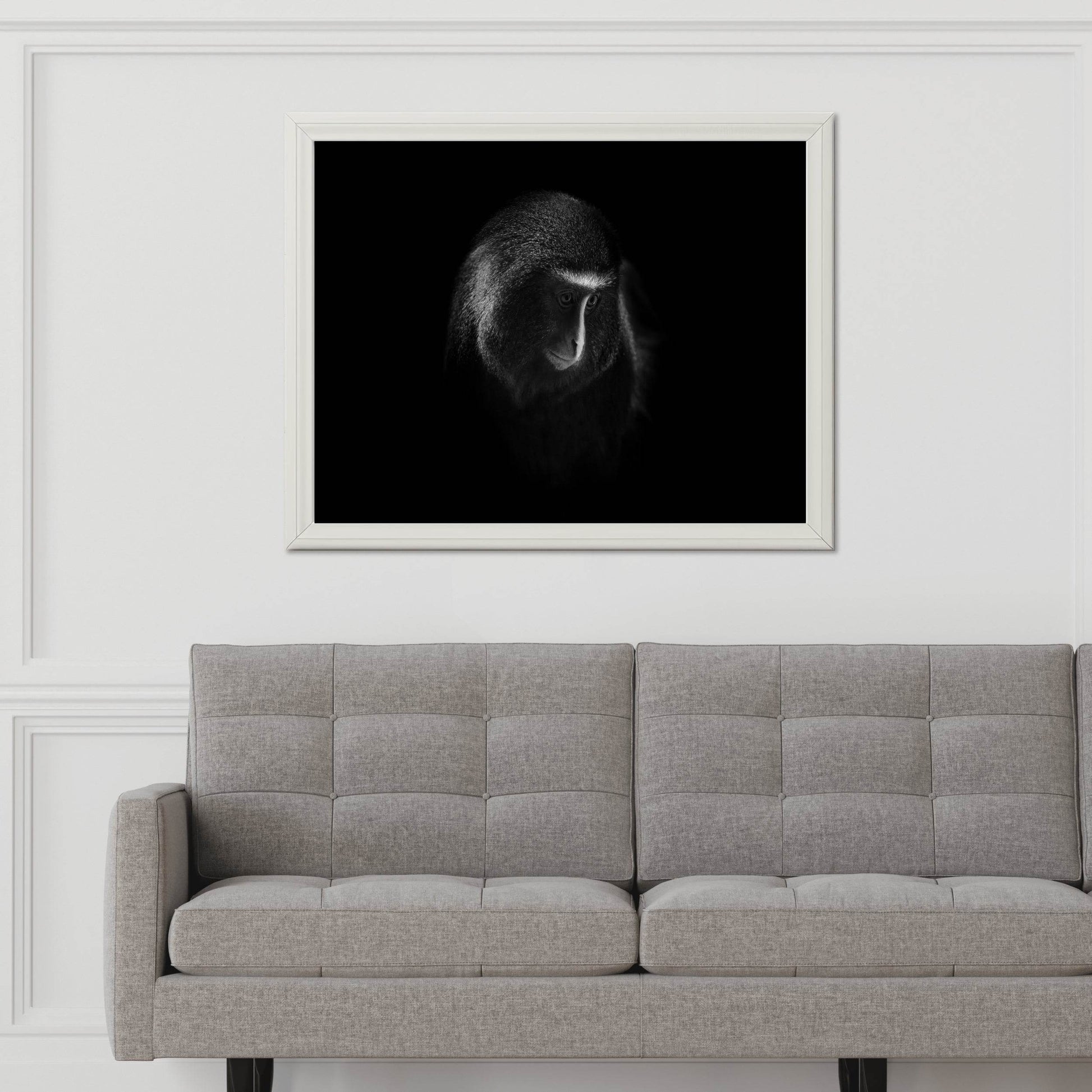 Owl Faced Moneky Black & White All Art - beink online art store
