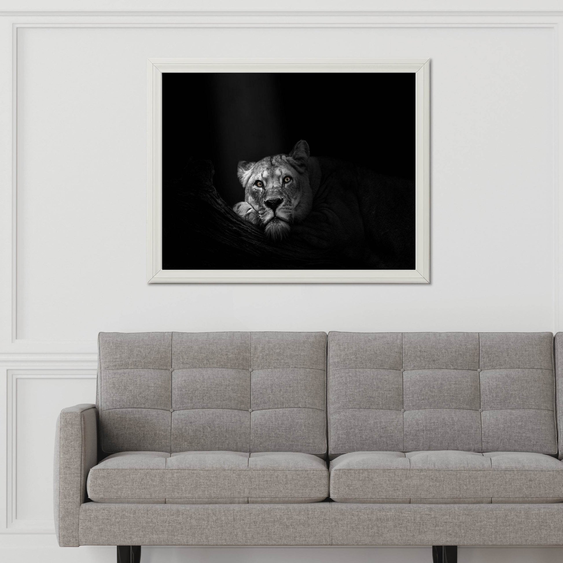 Asiatic Lion Black & White Wall Art - beink online art store