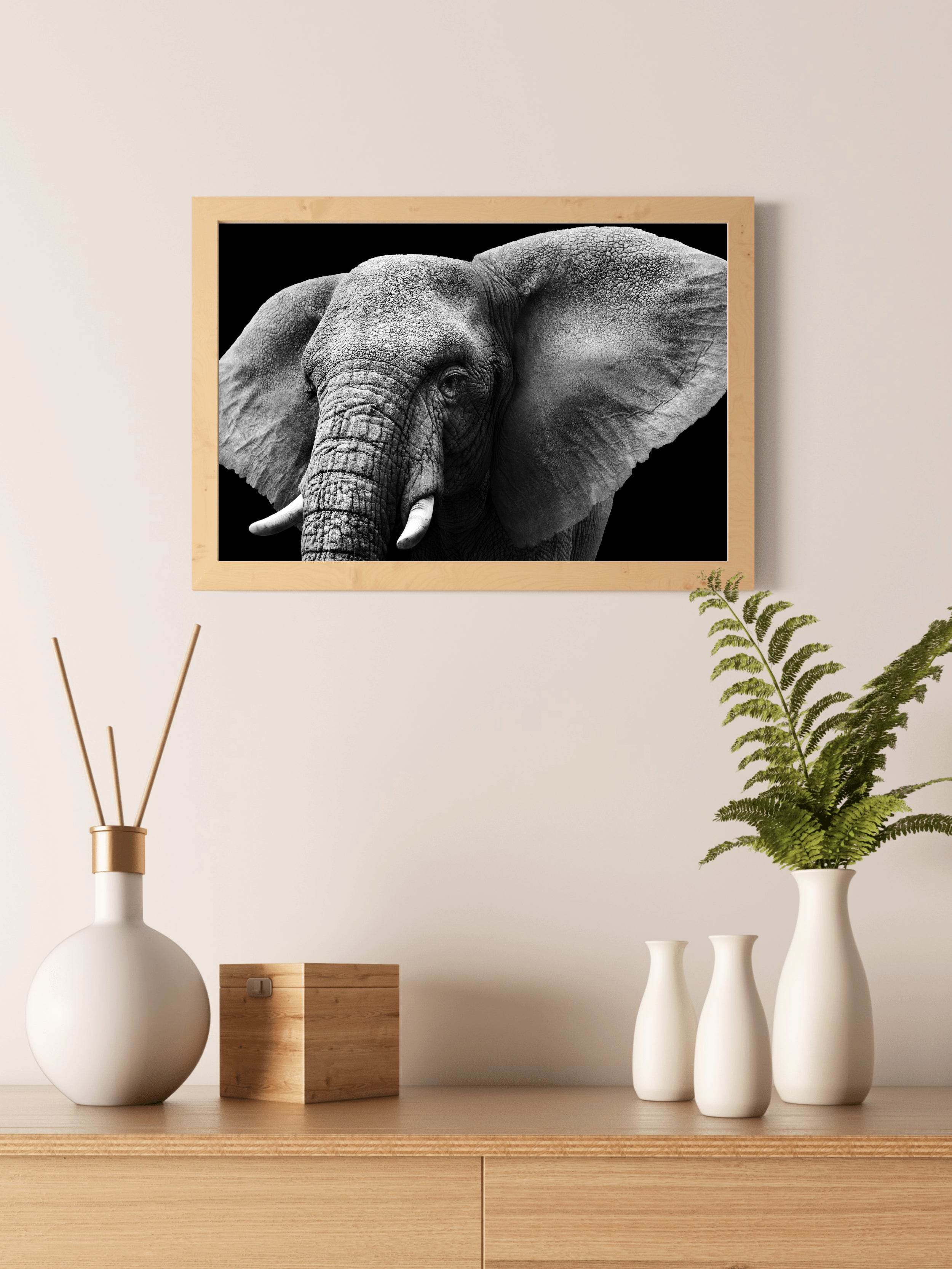 African Bush Elephant Black & White Wall Art - beink online art store