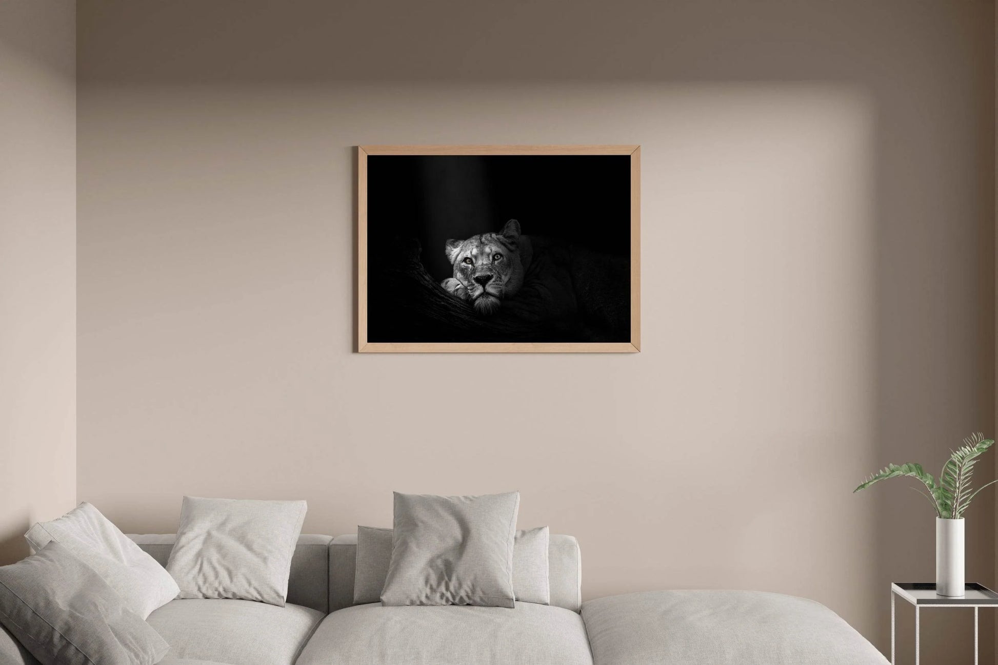 Asiatic Lion Black & White Wall Art - beink online art store
