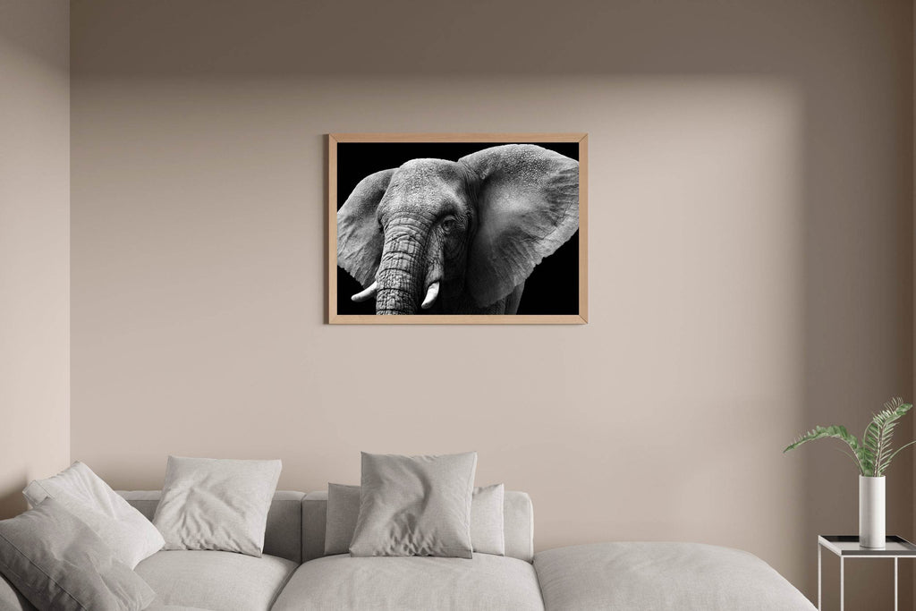 African Bush Elephant Black & White Wall Art - beink online art store