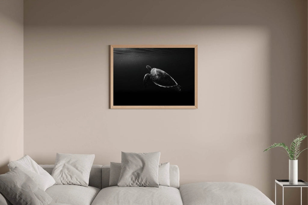 Green Sea Turtle Black & White Wall Art - beink online art store
