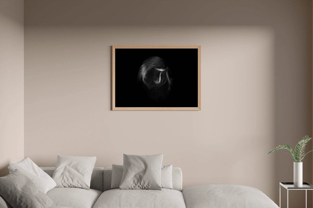 Owl Faced Moneky Black & White All Art - beink online art store