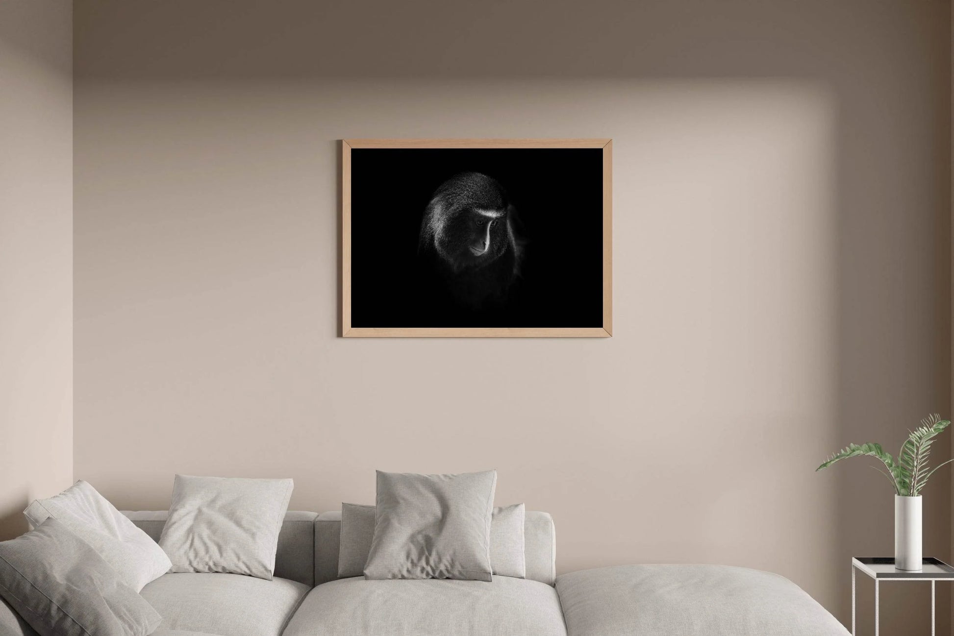Owl Faced Moneky Black & White All Art - beink online art store
