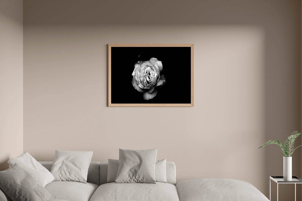 Garden Roses Black & White Wall Art - beink online art store