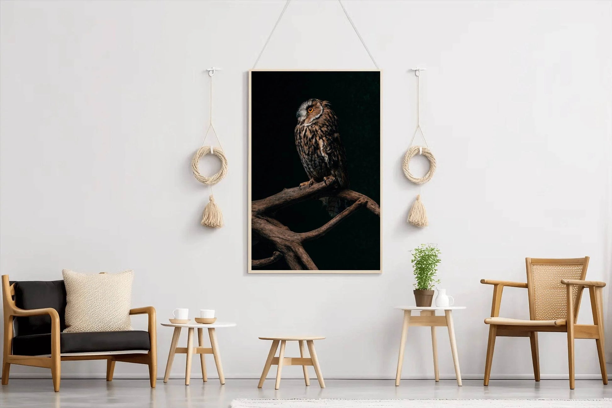 Long-Eared Owl Sitting on Branch Wall Art - beink online art store