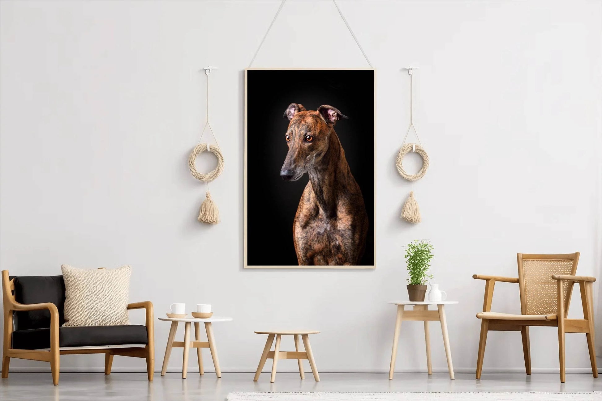 Greyhound Animal Wall Art - beink online art store