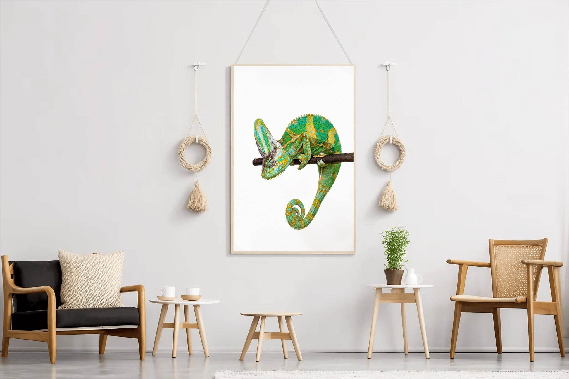 Veiled Chameleon Animal Wall Art - beink online art store