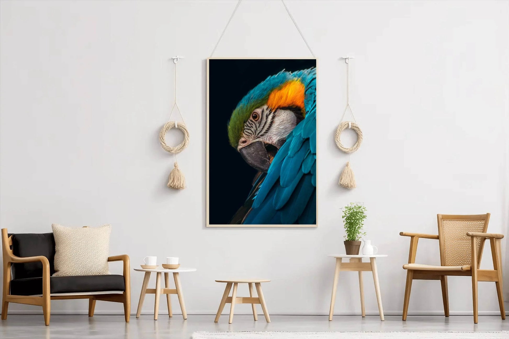 Closeup of Macaw Bird Wall Art - beink online art store