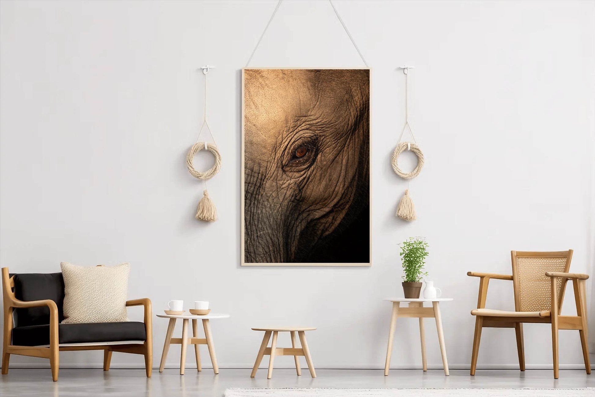 Eye of a Giant Elephant Wall Art - beink online art store