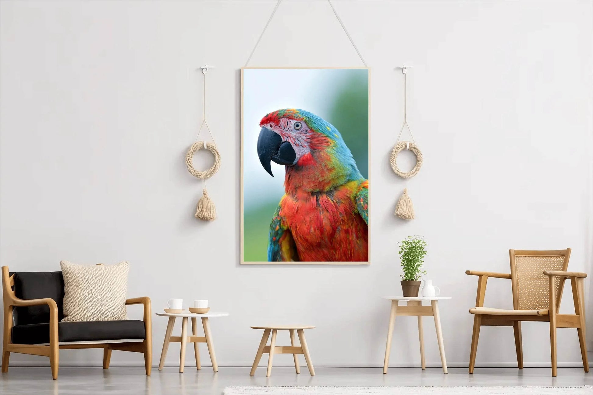 Beautiful Macaw Parrot Wall Art - beink online art store