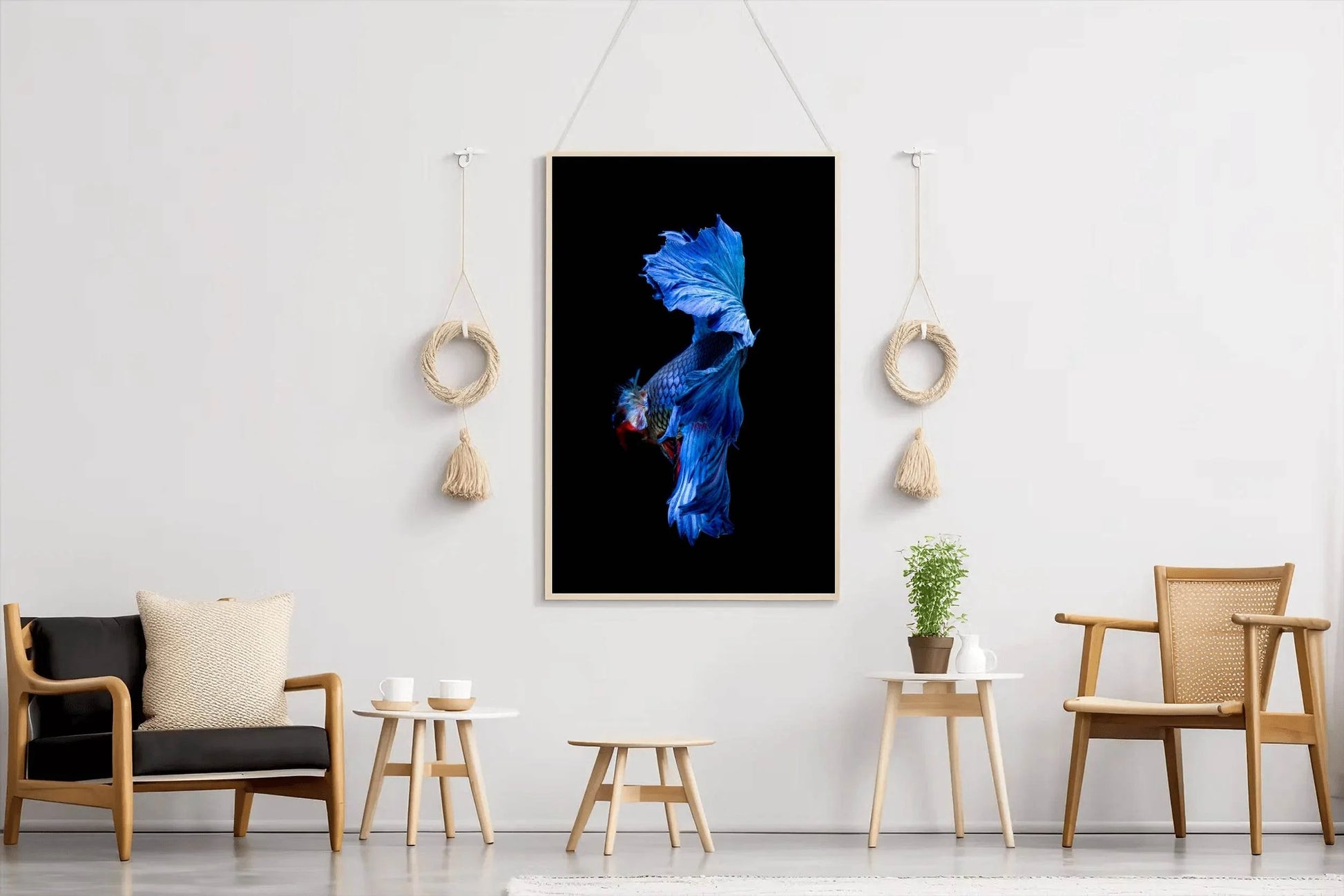 Siamese Fighting Fish Animal Wall Art - beink online art store
