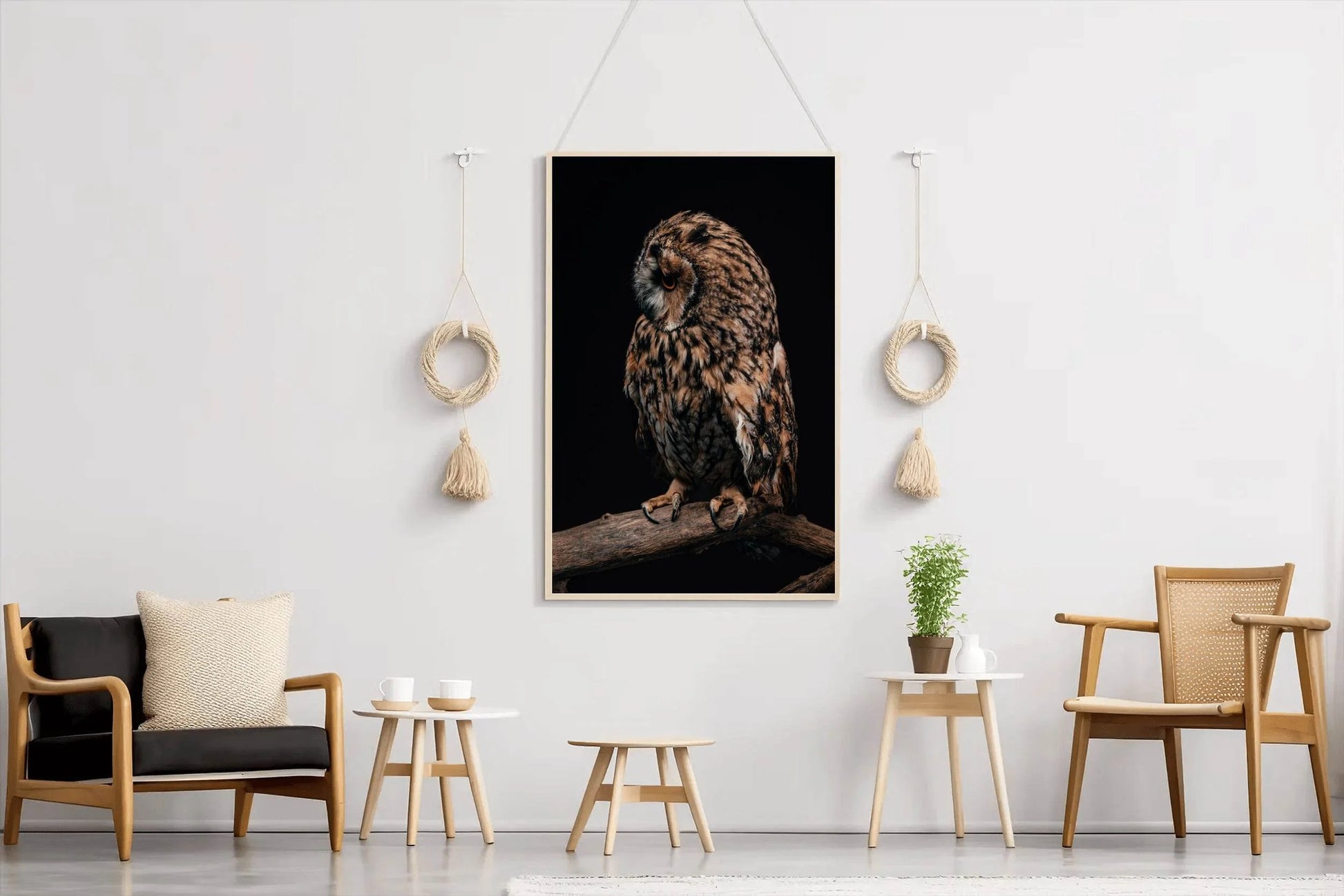 Long-Eared Owl Animal Wall Art - beink online art store