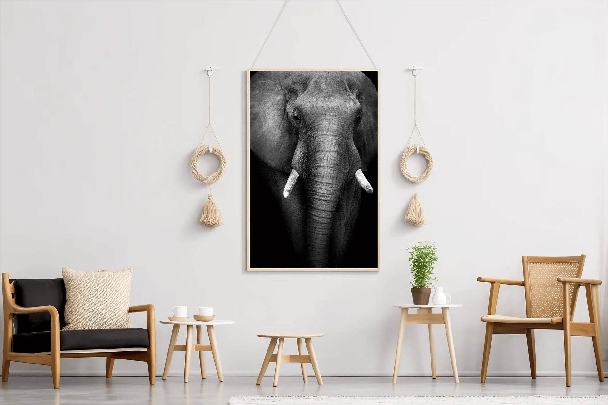Front Side Picture of African Bush Elephant - beink online art store
