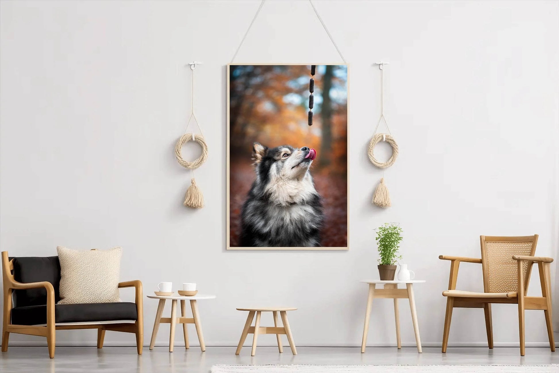 Finnish Lapphund Animal Wall Art - beink online art store