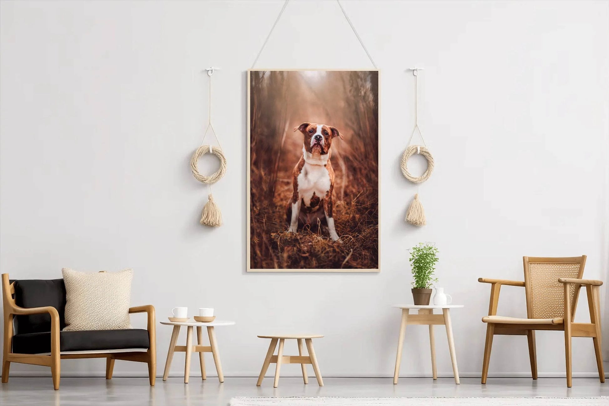 Picture of Standing Pit Bull Wall Art - beink online art store
