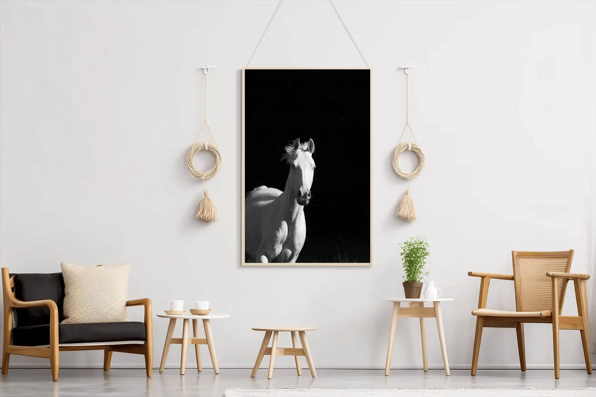 Camarillo White Horse Black & White Wall Art - beink online art store