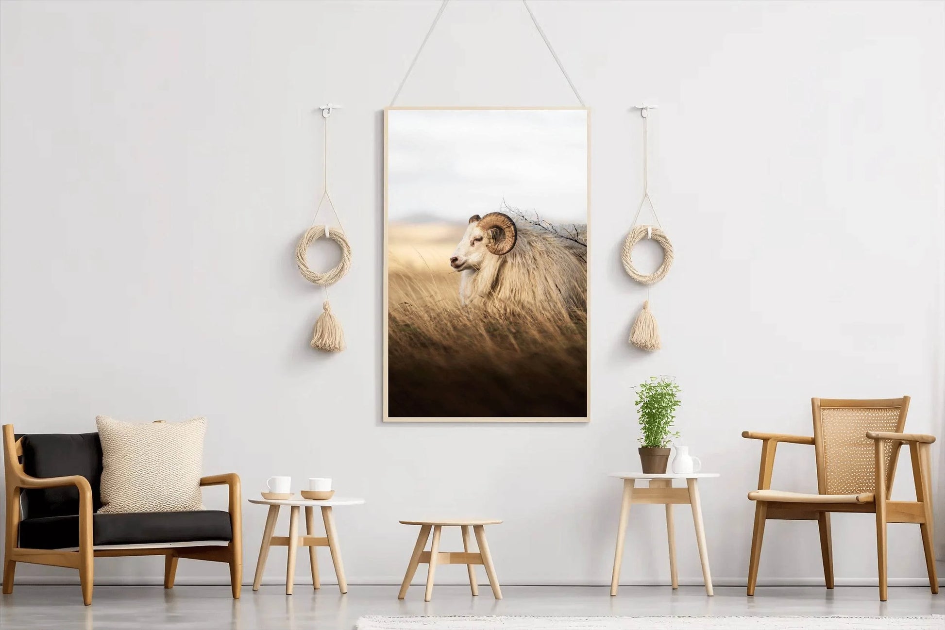 Icelandic Sheep Animal Wall Art - beink online art store