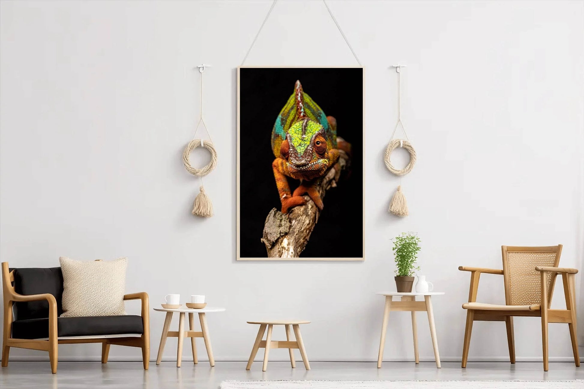 Panther Chameleon Animal Wall Art - beink online art store