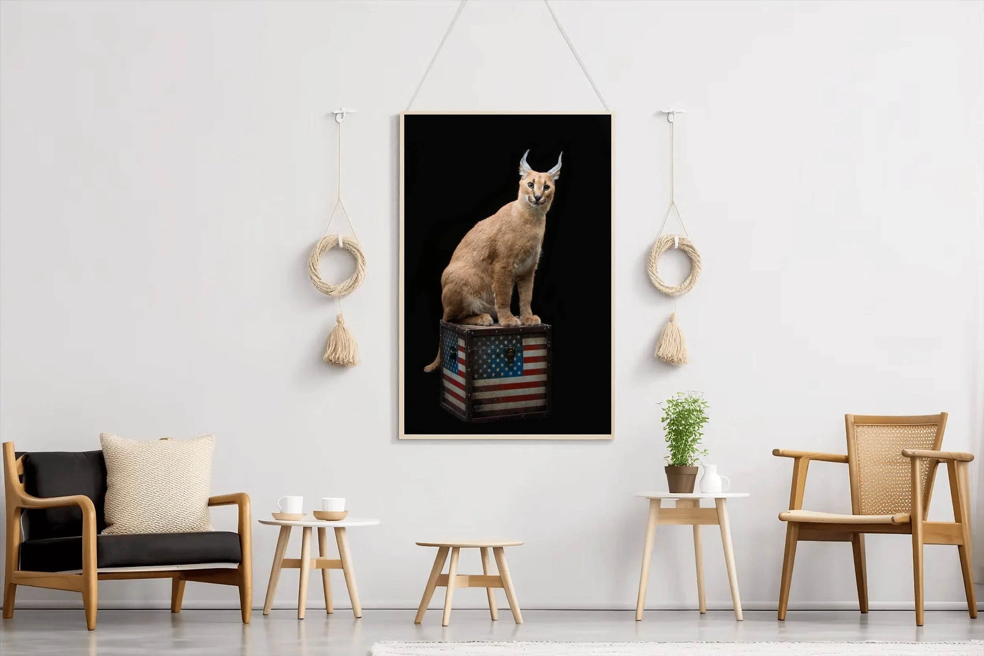 Caracal Wild Cat Animal Wall Art - beink online art store