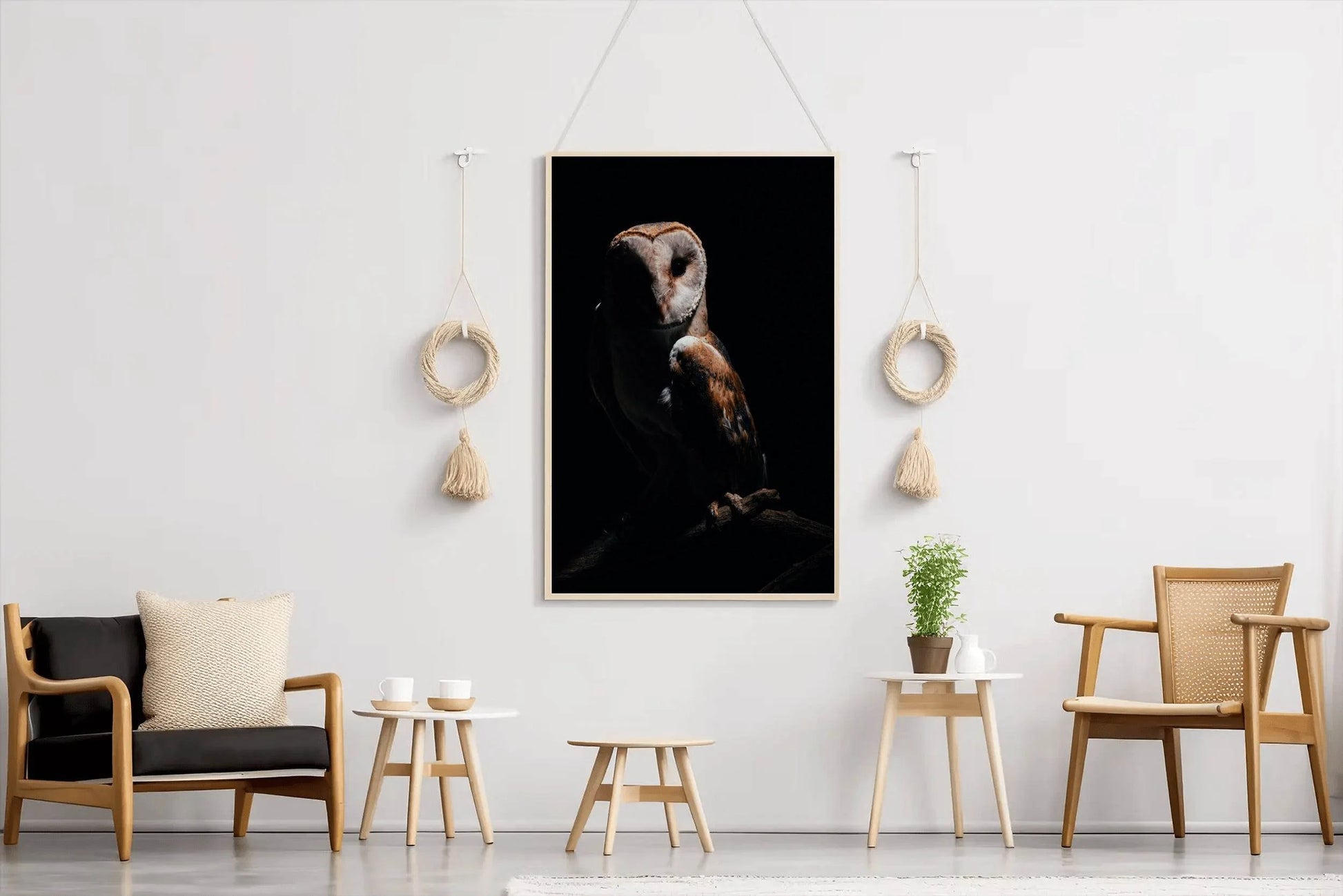 Barn Owl Bird Wall Art - beink online art store